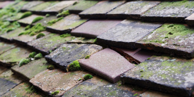 Burton roof repair costs